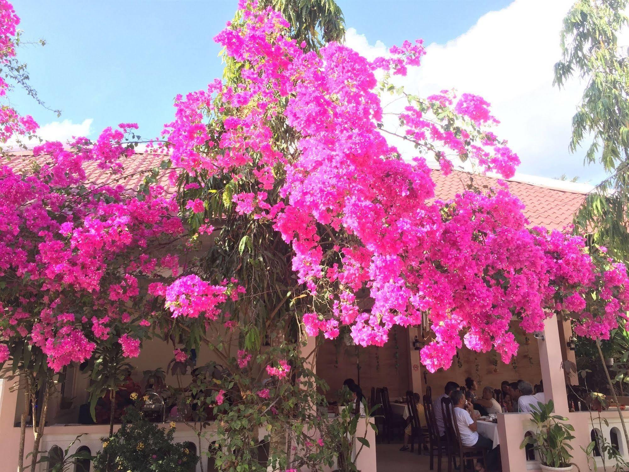 Hiep Thanh Resort Phú Quốc Ngoại thất bức ảnh